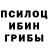 Псилоцибиновые грибы мухоморы Feras Hmdan