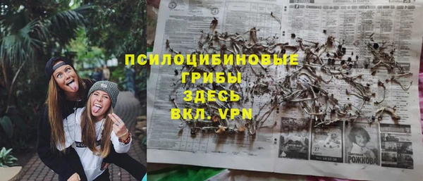 эйфоретик Алексин