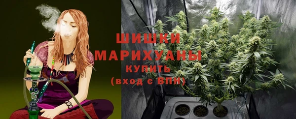 гидропоника Алзамай