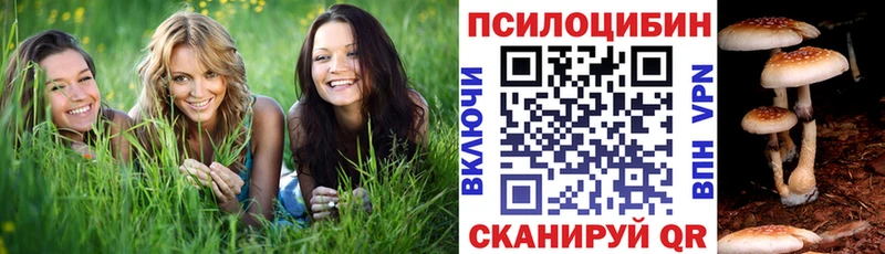 Галлюциногенные грибы GOLDEN TEACHER  кракен зеркало  Усть-Илимск 